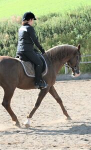 Val riding her Arab stallion at trot